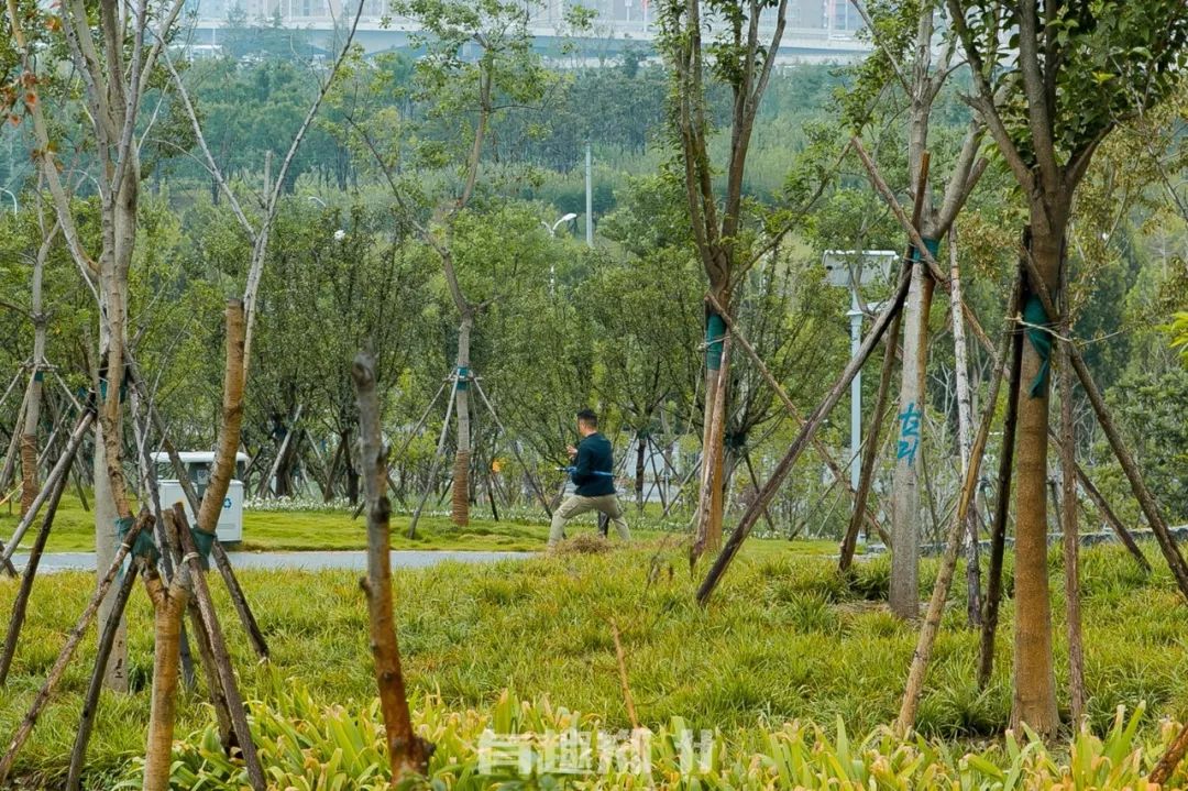 郑州国庆附近免费的景点推荐,国庆假期郑州免费景点