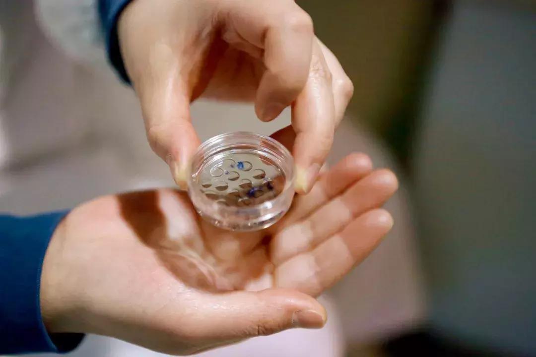 正常人做试管婴儿很辛苦吗,父母做试管婴儿好吗