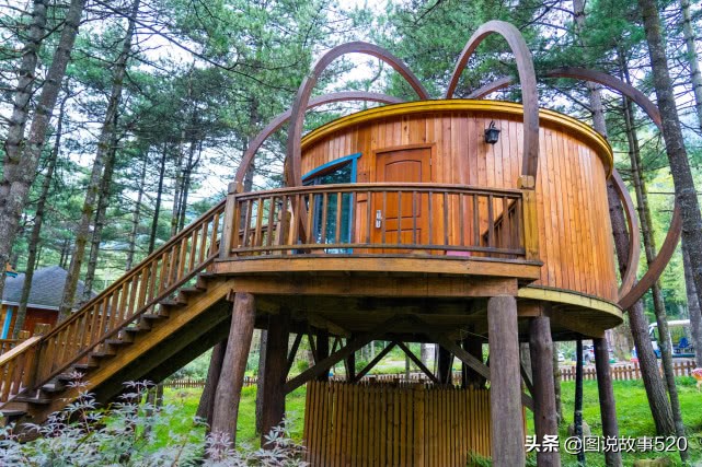 洛阳白云山山顶小木屋价格,洛阳白云山森林小木屋