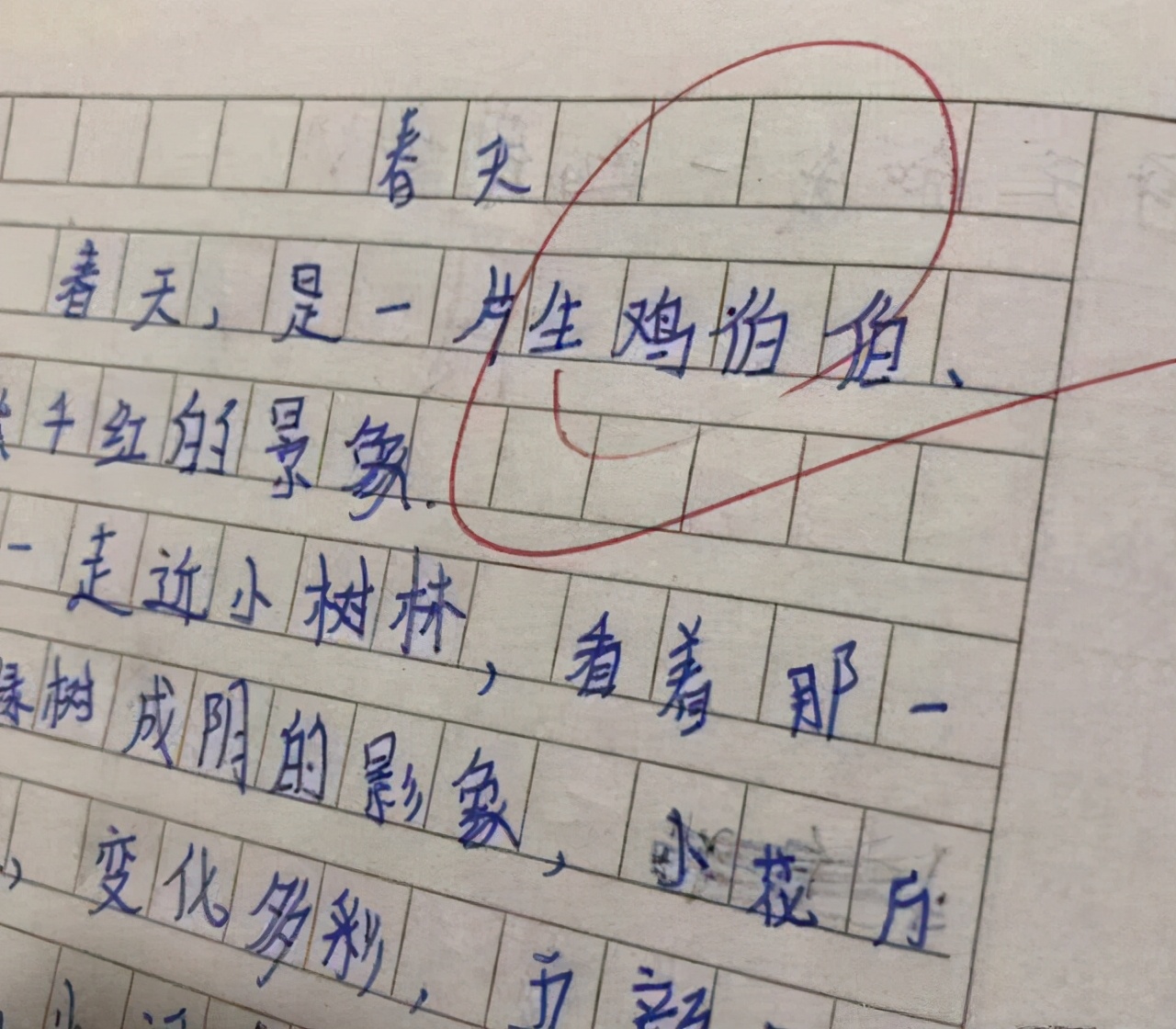 我妈打呼噜像猪叫，小学生作文都写了啥，“生鸡伯伯”你还认识吗