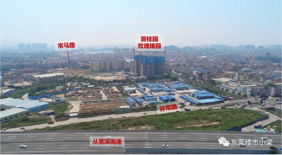 疫情后楼盘首开,东莞碧桂园玫瑰臻园排名