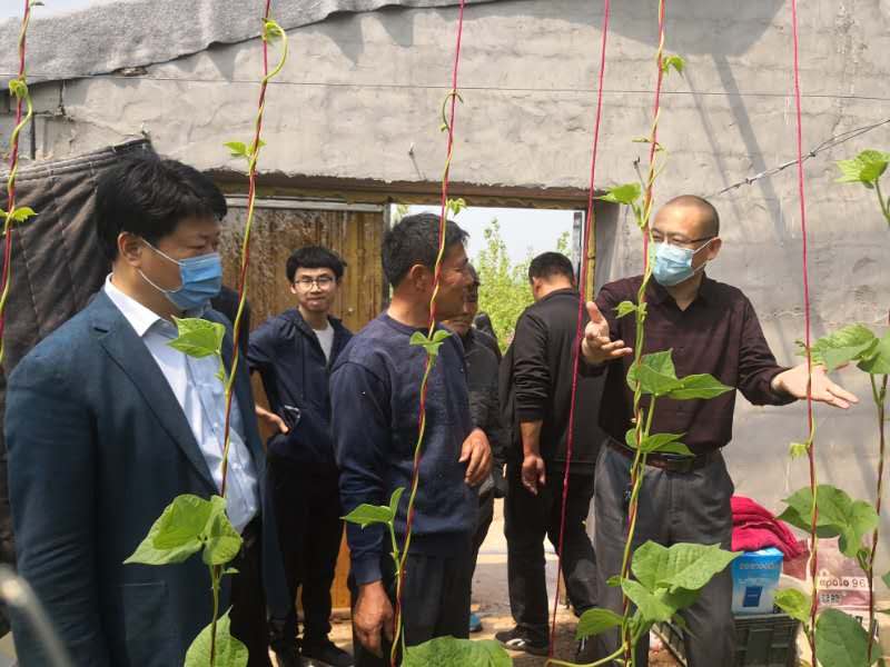 乡村振兴博士专家服务团,乡村振兴服务团