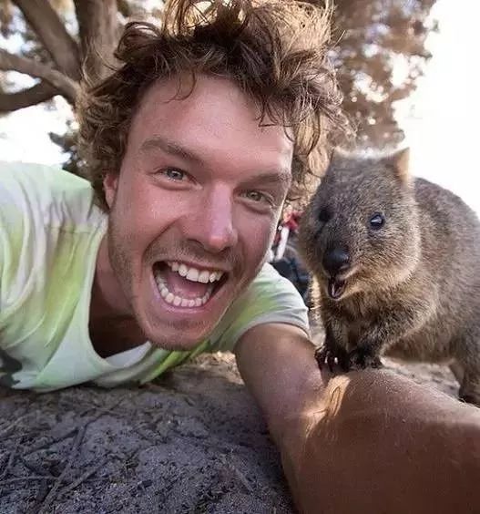 十种你肯定没见过的动物,令人惊艳的17种动物绝对罕见