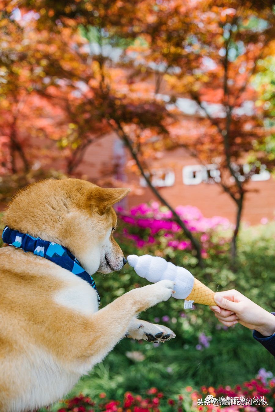 高考择校tips,高考择校指导985211