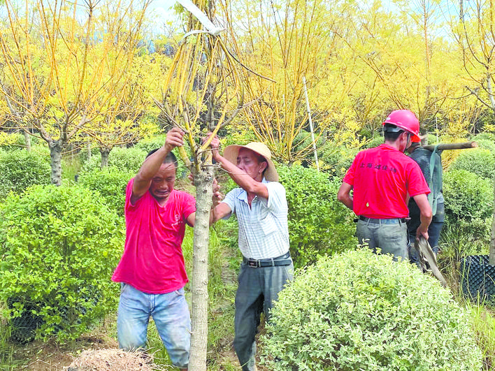 岳阳市驻村扶贫工作队,驻村帮扶工作队特色工作