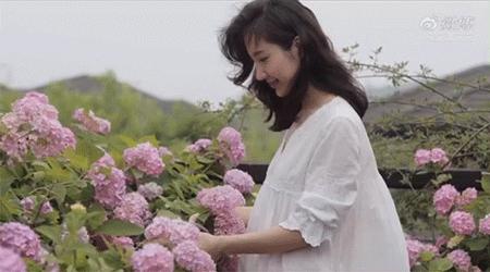 张大奕评价董花花和蒋凡完整视频,蒋凡与董花花最新情况