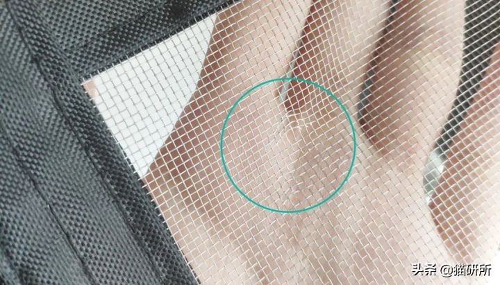 高层养猫到底要不要封窗,封窗养猫