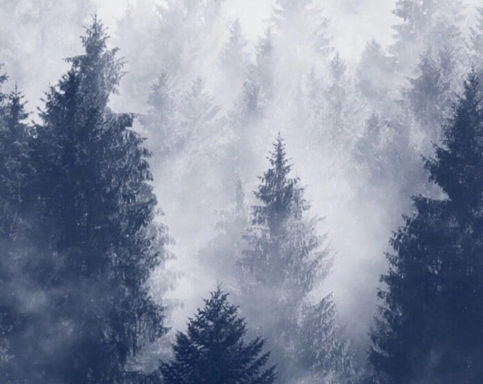 授人以鱼不如授人以渔下集,授人以鱼不如授人以渔