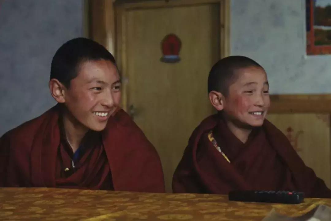 2019年不能错过的好剧,一直被低估的10部优秀国产片