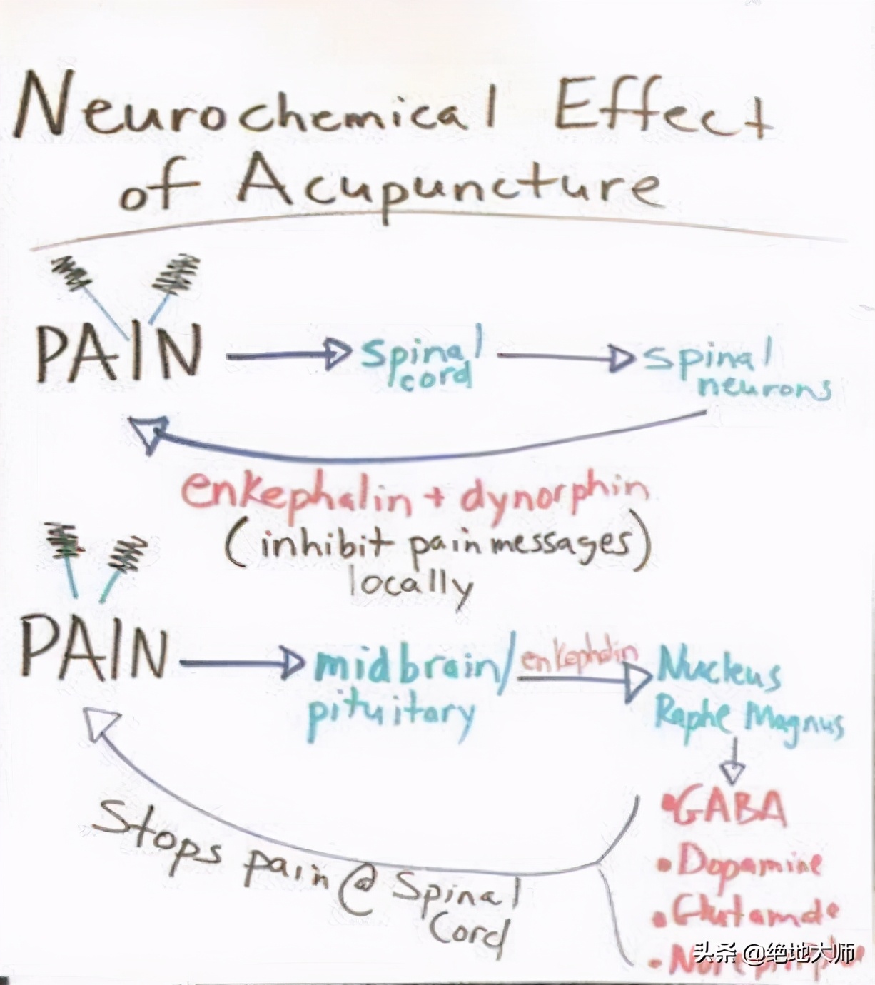 非创伤性膝关节疼痛的评估和神经调控康复治疗