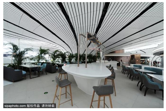 新国门“兴”世界开放之旅:大兴国际机场—钧天坊古琴基地—同仁堂零号店