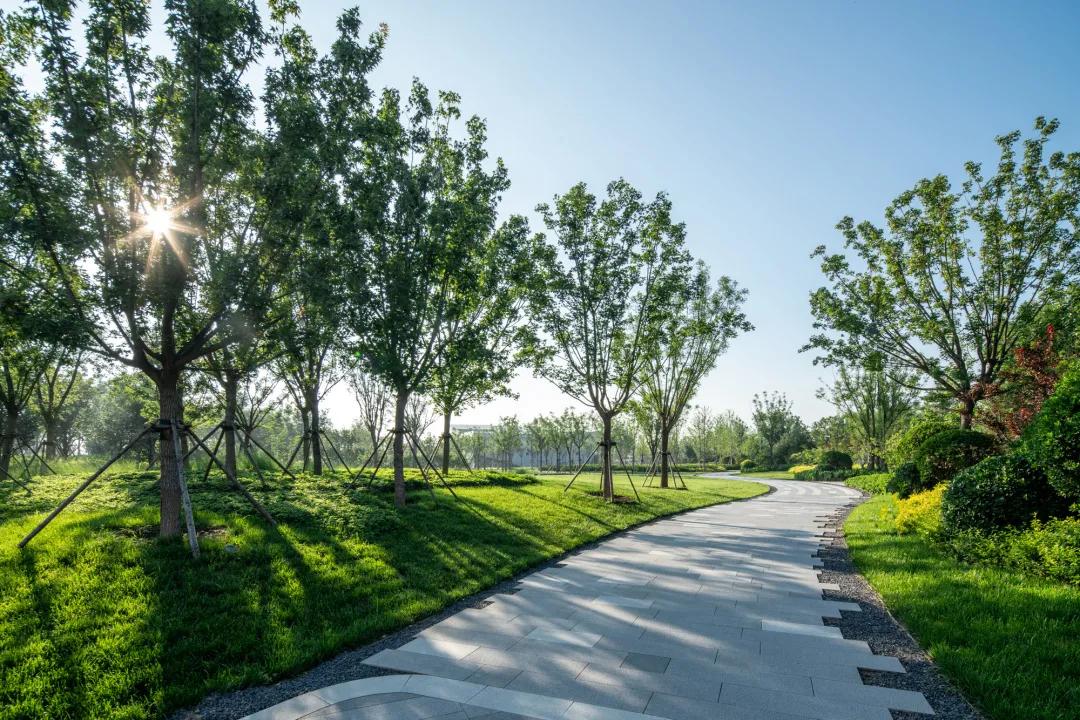 天津首创经中中国光年城中央公园,天津宁河光年城中央公园结构