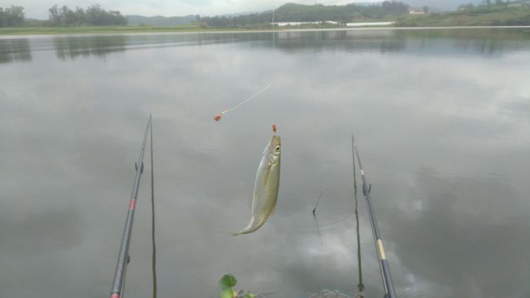 昆明周边露营野钓最佳地方,昆明周边风景优美的野钓地方