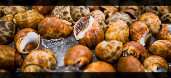 最新玩转泰国攻略,泰国旅游漫游