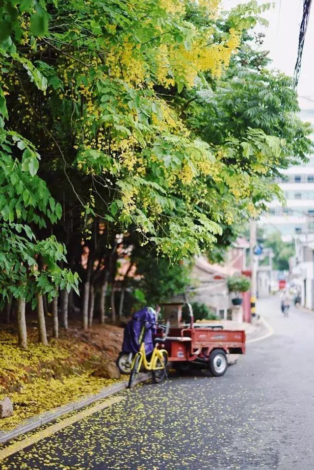 厦门民宿海景房一家四口,厦门摩洛哥民宿