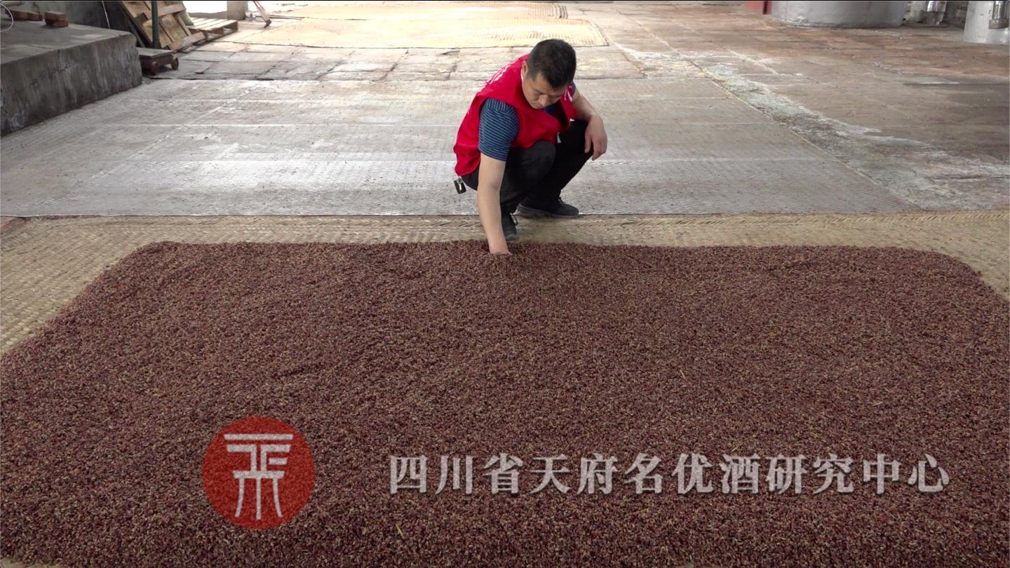 高粱小曲酒常见问题,小曲高粱酒入窖温度低了怎么补救