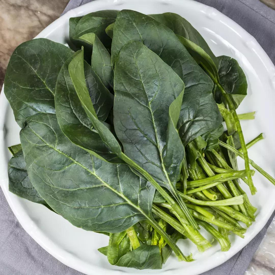 日式河豚火锅,青岛吃河豚火锅