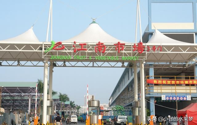 广州江南水果批发市场今天价格,广东新的水果批发市场招商