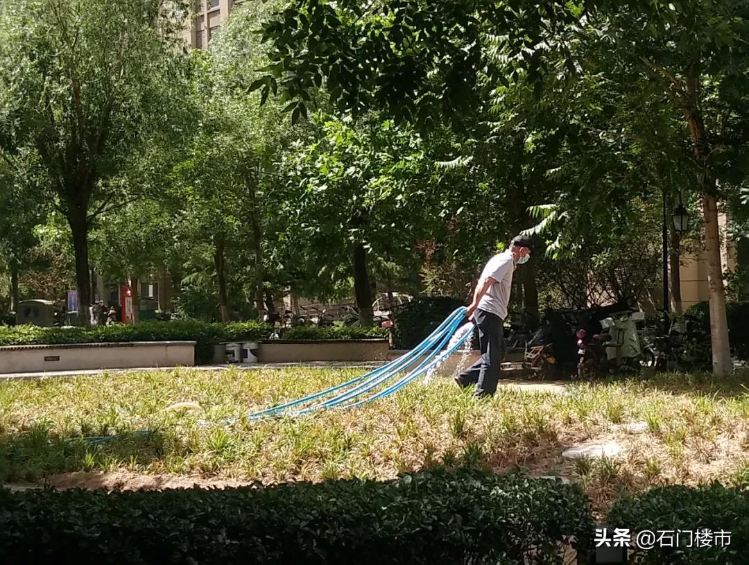 实探这个小区值得买吗,实探房价