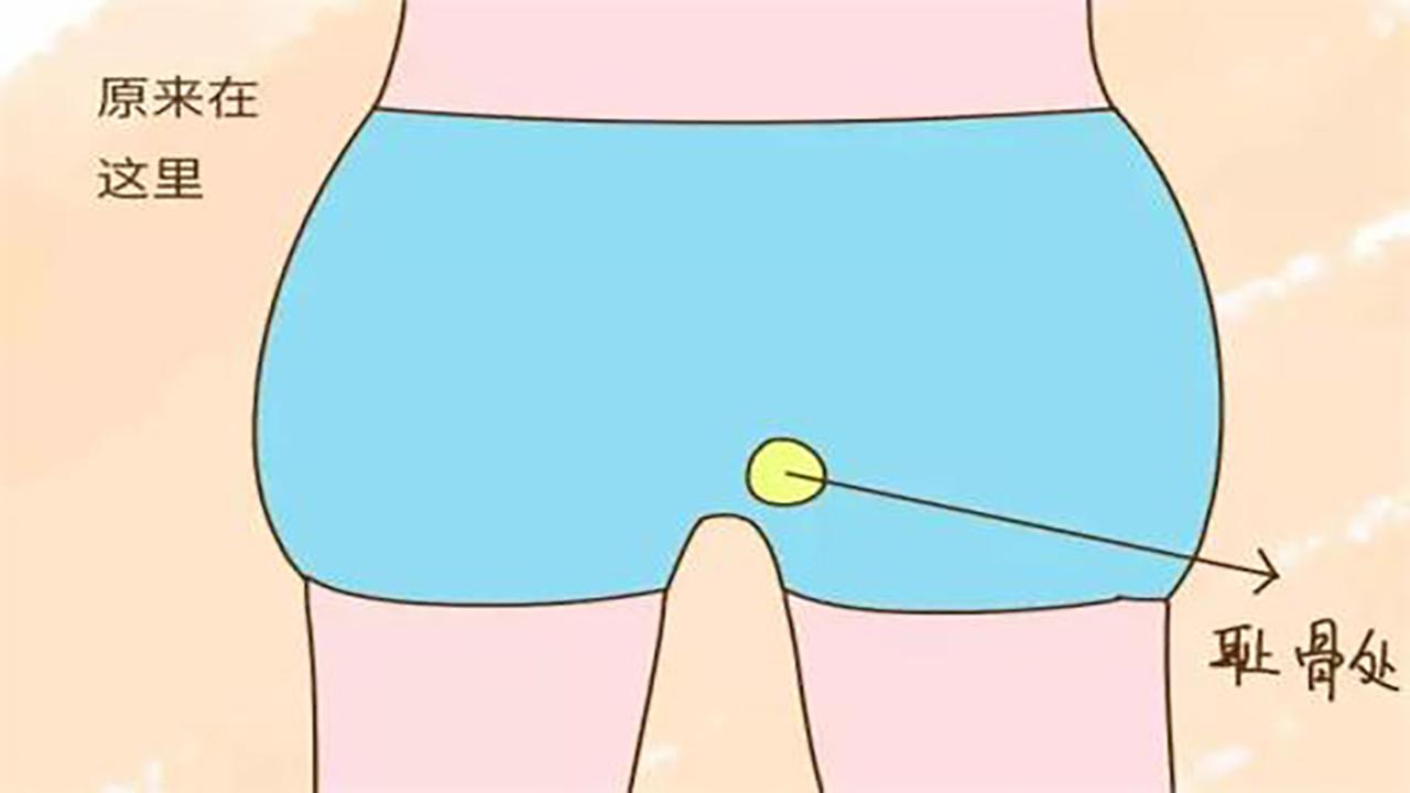 孕期耻骨疼有啥好办法吗,孕期耻骨痛需要做骨盆修复吗