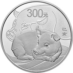 欣赏猪币，美美猪年！