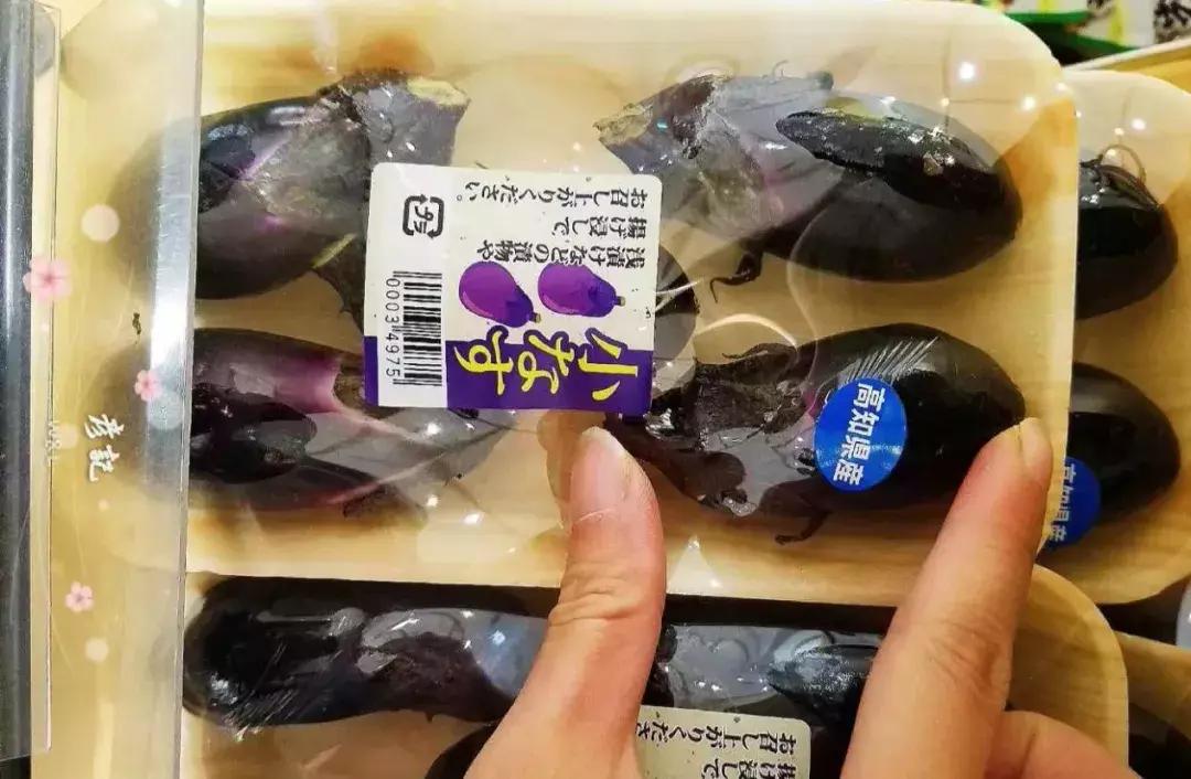 日本精致的日常生活 (日本的精致日常生活)