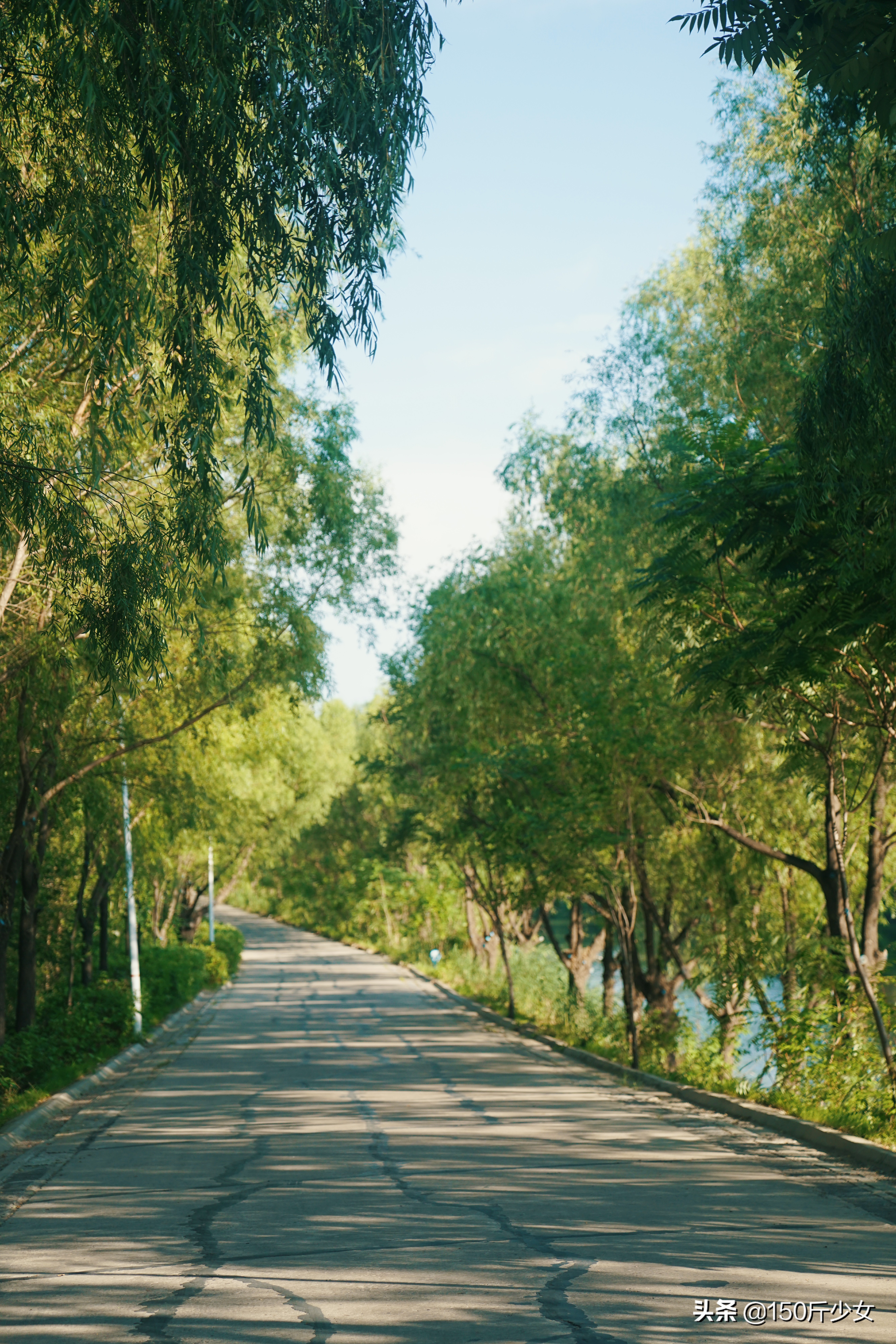 随心所欲玩转吉林！6天5晚人均1000自驾游，吉林现在也很美