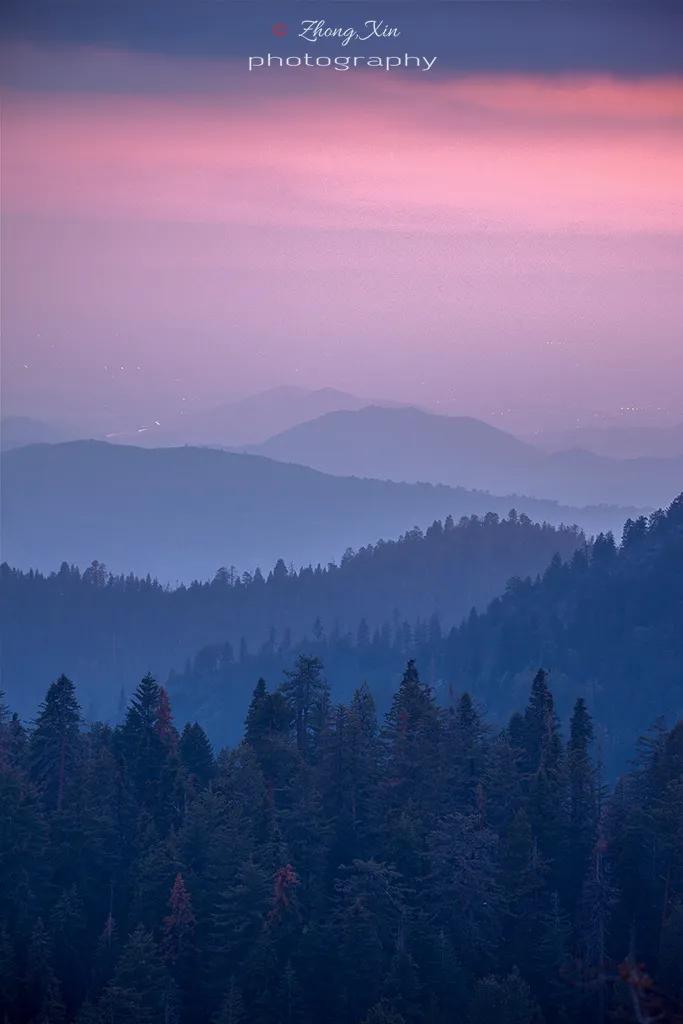 人类用8年就灭亡的动物,人类用八年就灭杀的动物