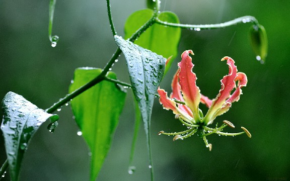 增强自己信心的励志句子，句句充满哲理，送给孤独的自己