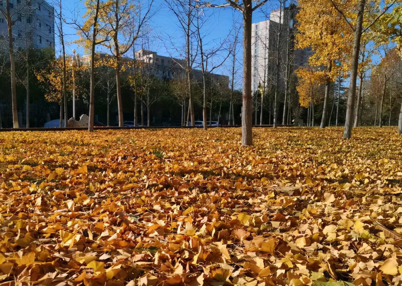北京石油化工学院哪些专业吃香,北京石油化工学院哪个专业有前途