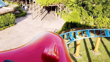 玩转珠海长隆全攻略,玩转珠海长隆海洋王国全攻略