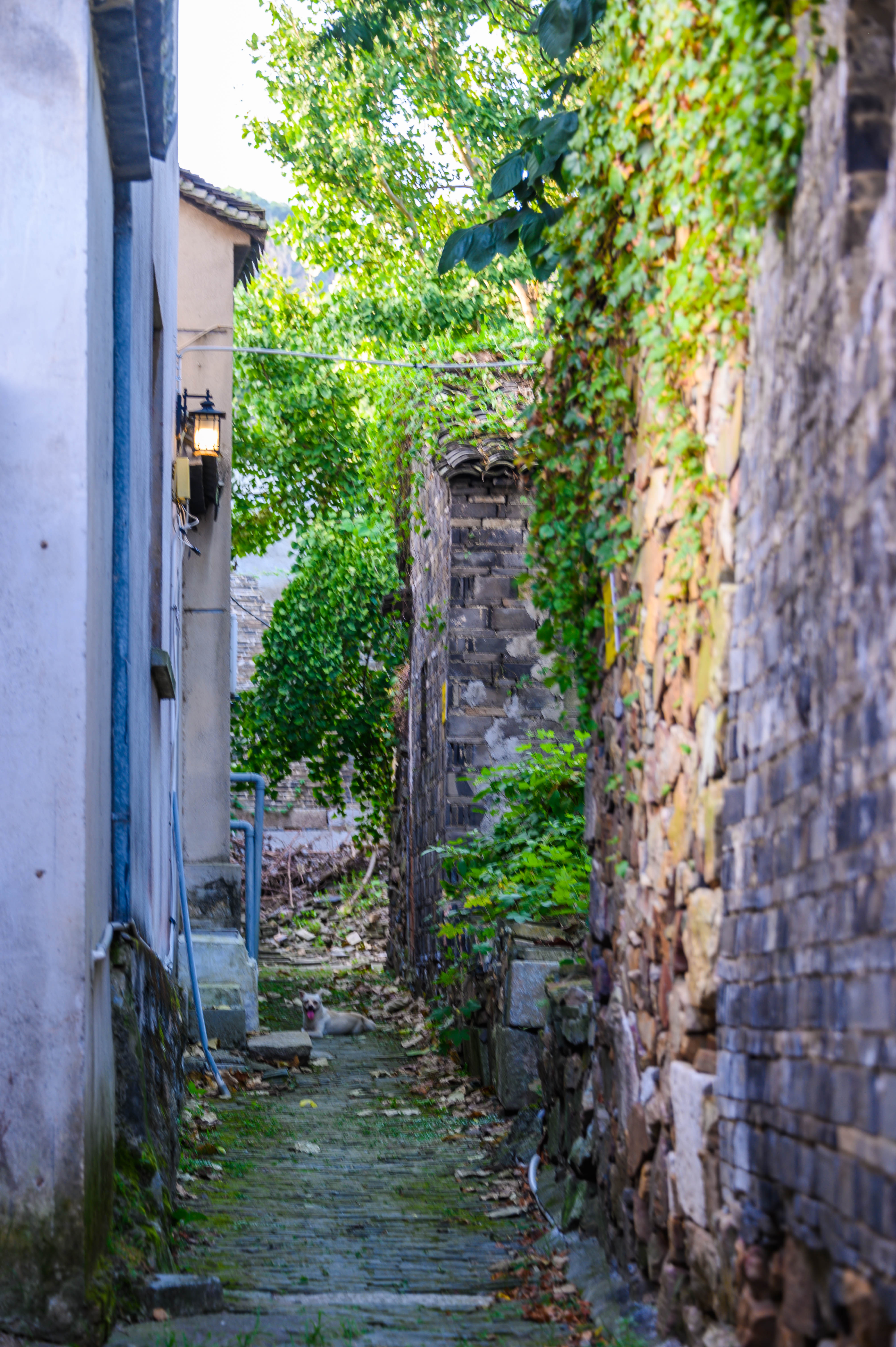 鑻忓窞瑗垮北鏈夊摢浜涘彜鏉戣惤,鑻忓窞瑗垮北鐨勫彜鏉戣惤