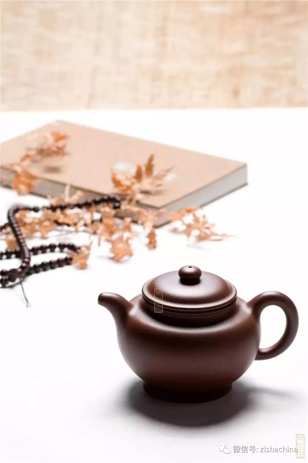 同卵双胞胎是同性还是异性,同卵双胞胎的dna一样吗