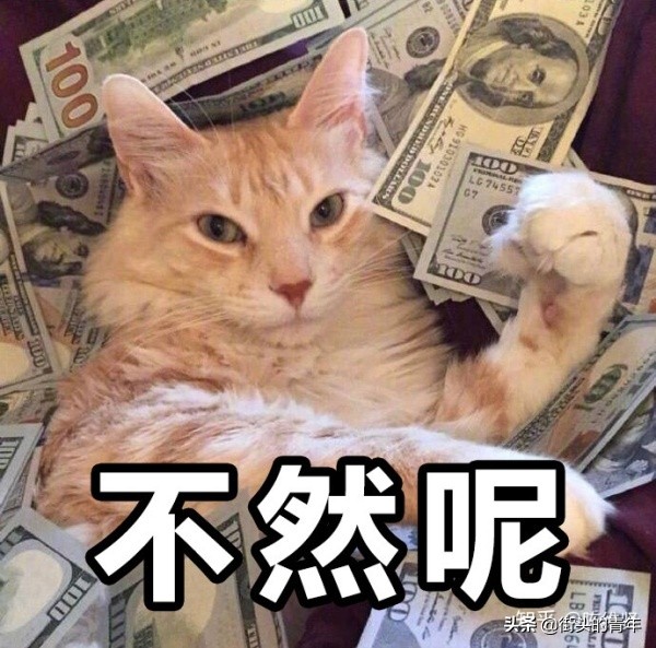 为了深扒美团的配送员运营套路，我差点去当了外卖小哥！