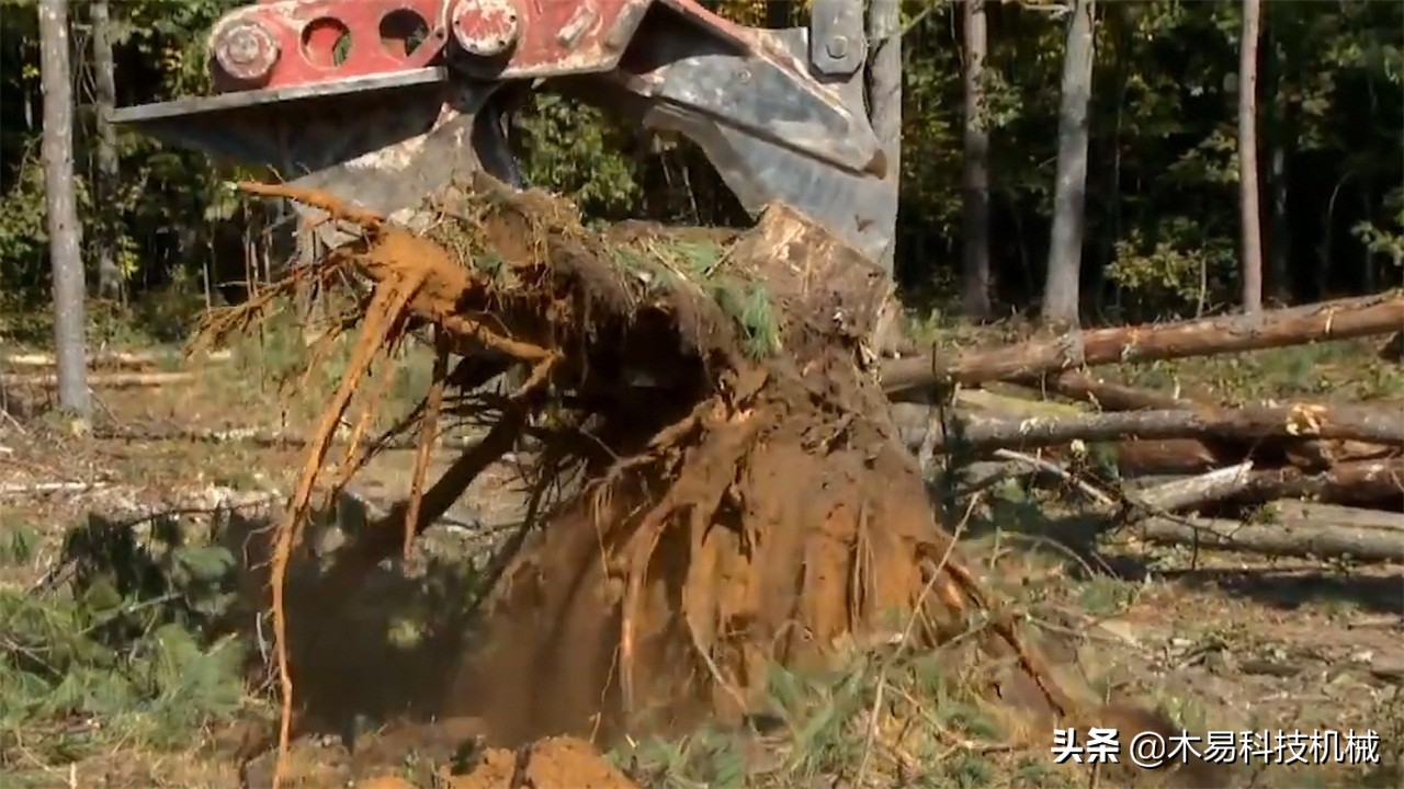 国外树桩拉拔机视频,德国最牛逼的树桩拉拔机