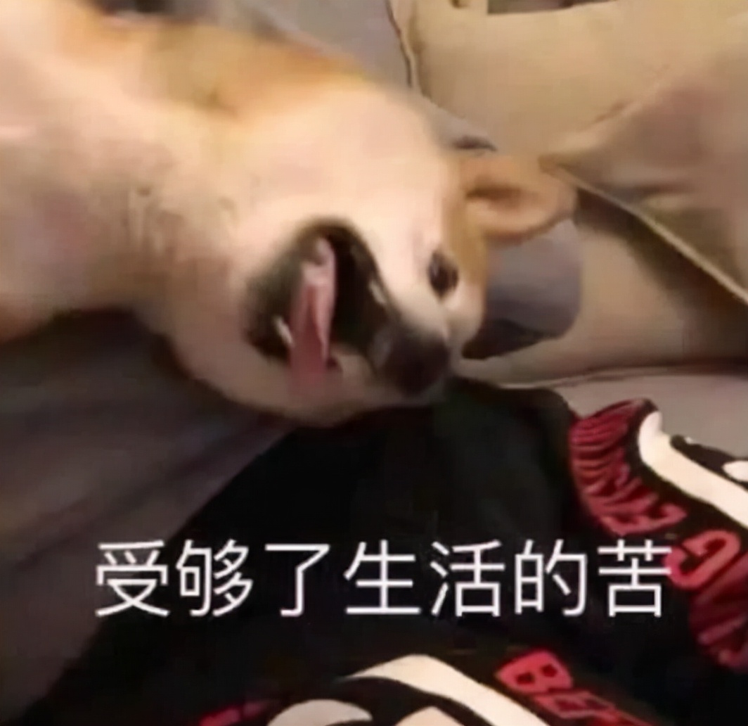 电气毕业什么都不会怎么办？电气专业毕业的都去干什么了？