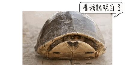 割包皮有第二根半价吗,割包皮有几率失误吗