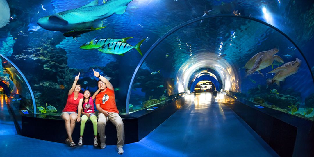 塘沽临港公园游玩攻略,塘沽海滨浴场游玩攻略