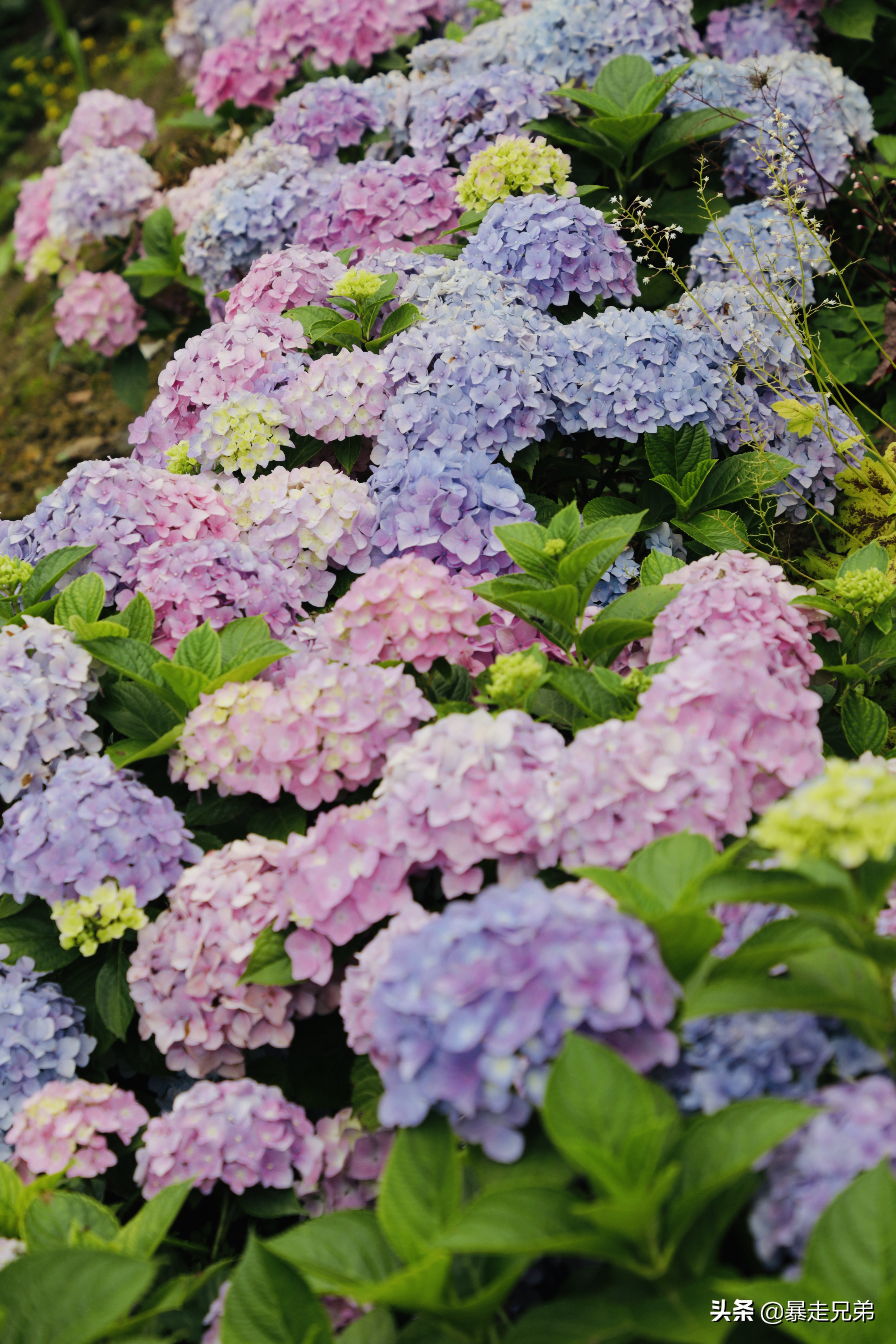 水下宝藏文物,水下国宝
