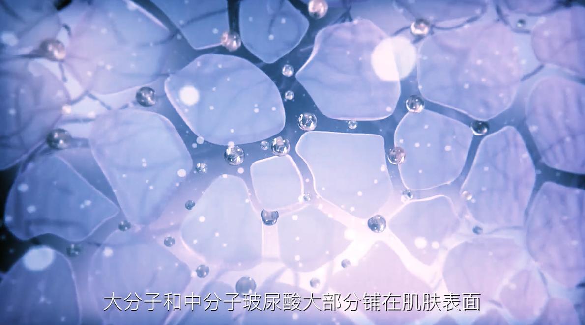 宠物玻尿酸,双分子玻尿酸宠物