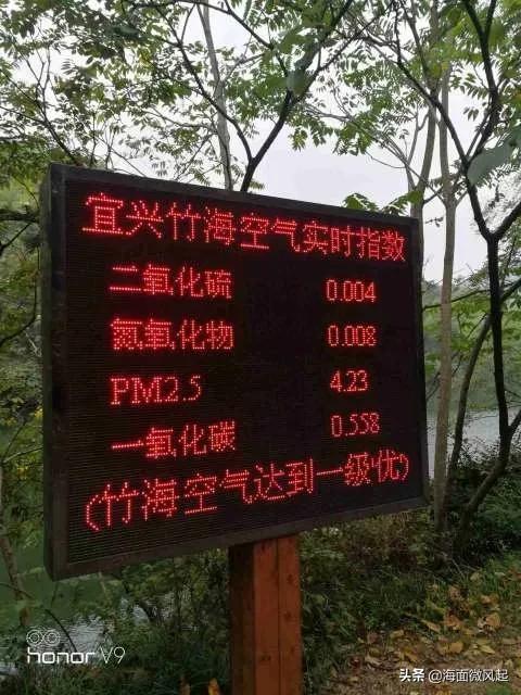 百里竹海森林氧吧,湖北宜兴竹海天然氧吧