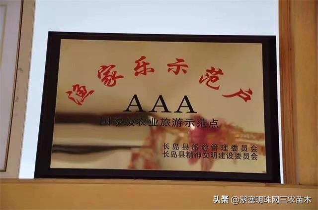 长岛值得去的渔家乐,长岛美丽的海岛