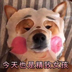 种草海藻深层补水面膜,种草一款超级好用的面膜