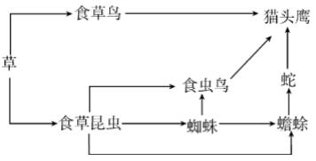 临沂七年级上册生物期末各区试卷,临沂市河东区七年级上册生物试卷