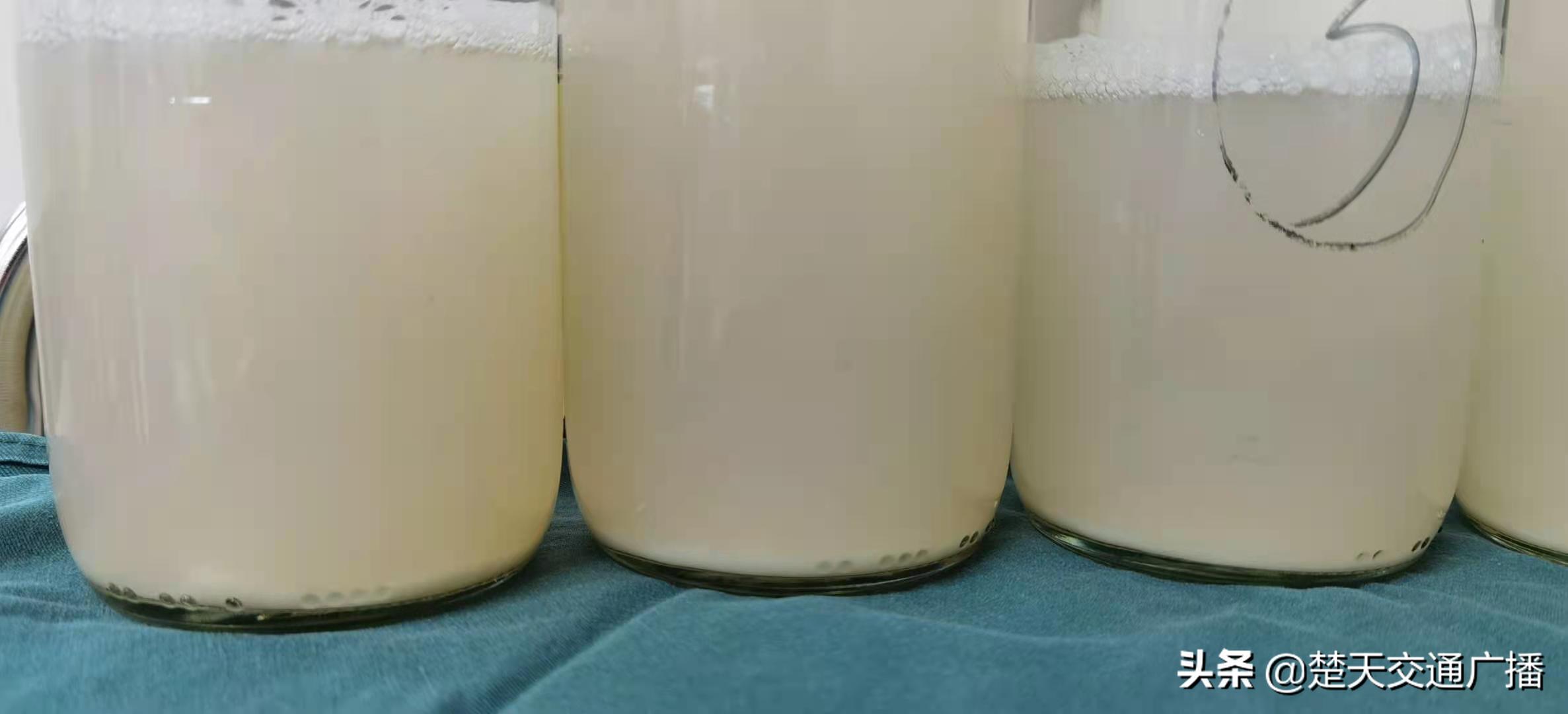 胸闷气喘半年，男子肺里洗出19升“牛奶”