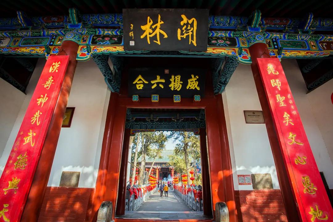 一月洛阳景区免门票怎么操作,洛阳联票99元的七大景区优惠券