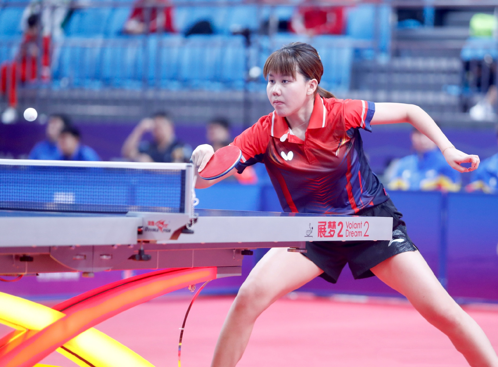 2023辽宁夺冠历程,辽宁史上第一个总冠军