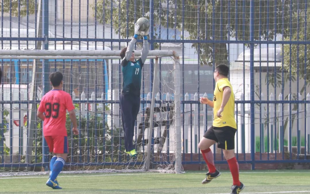 碧桂园最美营销人员名单,碧桂园最大老板在哪