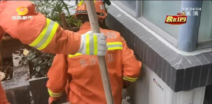 常年在垃圾桶旁边的蛇,垃圾桶里面有一条大蟒蛇