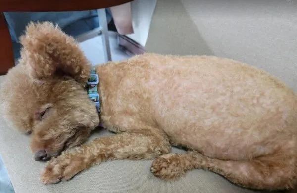 67岁耳朵嗡嗡响是什么原因,57岁耳朵嗡嗡响是怎么啦